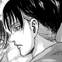 Levi Ackerman 