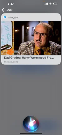 Harry Warmwood