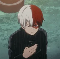 Shoto Todoroki 