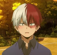 Shoto Todoroki - MHA
