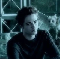 Edward Cullen