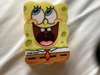 spongebob irl