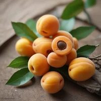 Apricot
