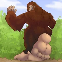 Sasquatch Feet 