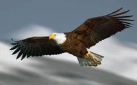 eagle