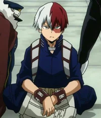 Shoto todoroki 