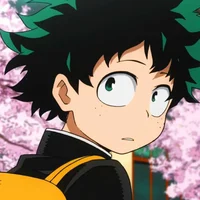 Izuku Midoriya 