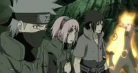 Team 7 fight