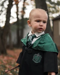 Bebe Draco