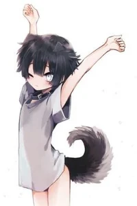 Catboy