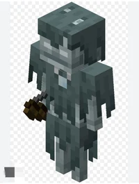 Minecraft Stray