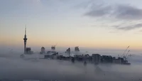 NZ Hypnotic Fog 