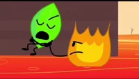 Firey and leafy