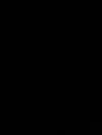 Estella