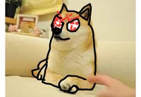 Doge KJ
