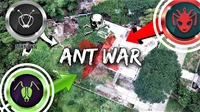 Antopia