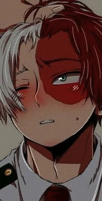 Shoto todoroki 