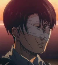 Levi Ackerman 