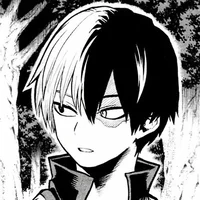 Shoto Todoroki