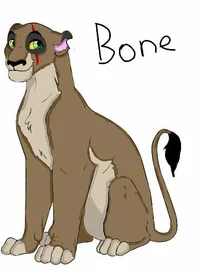 Bone 