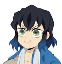 DS-Inosuke Hashibira