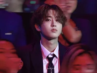 Han Jisung 