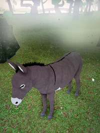 Donkey