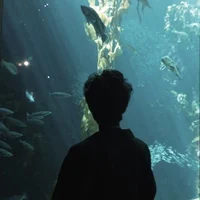 Percy Jackson
