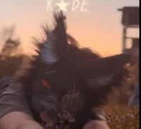 Kade