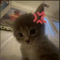 Kaede and Akito - BL