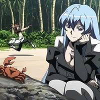Esdeath and Tatsumi