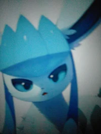 Flacky the glaceon 