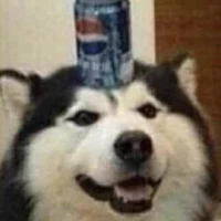 Perro Pepsi