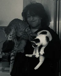 chris sturniolo
