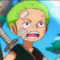 Baby Zoro 