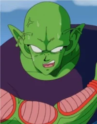 Piccolo 