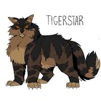 tigerstar