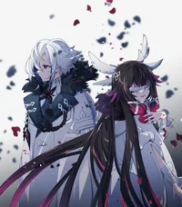 Arlecchino Colombian