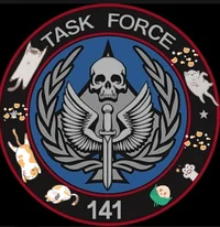 Task force 