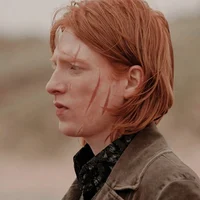 Bill Weasley 