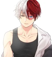 Shoto Todoroki