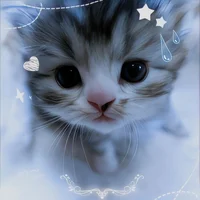 Sky_catlover