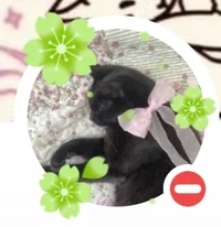 Uran