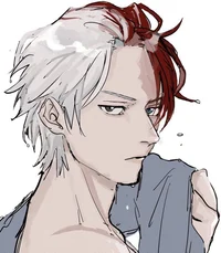 Shoto Todoroki 