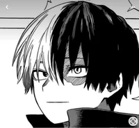 -Shoto Todoroki-