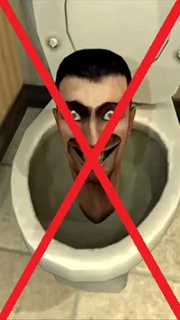 stupid skibidi hater