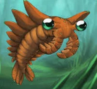 Anomalocaris
