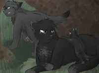 Грач и Сумеречница 