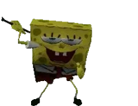 H20 sponge