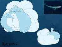 Blue Whale